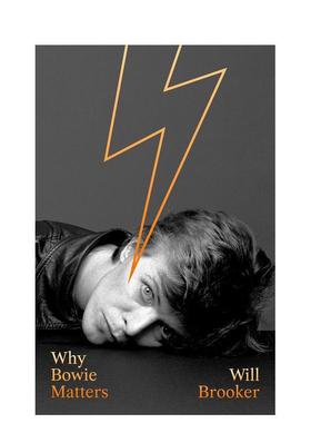 【现货】为何大卫鲍伊如此重要Why Bowie Matters 英文音乐Will Brooker精装harpercollins uk进口原版书9780008313722