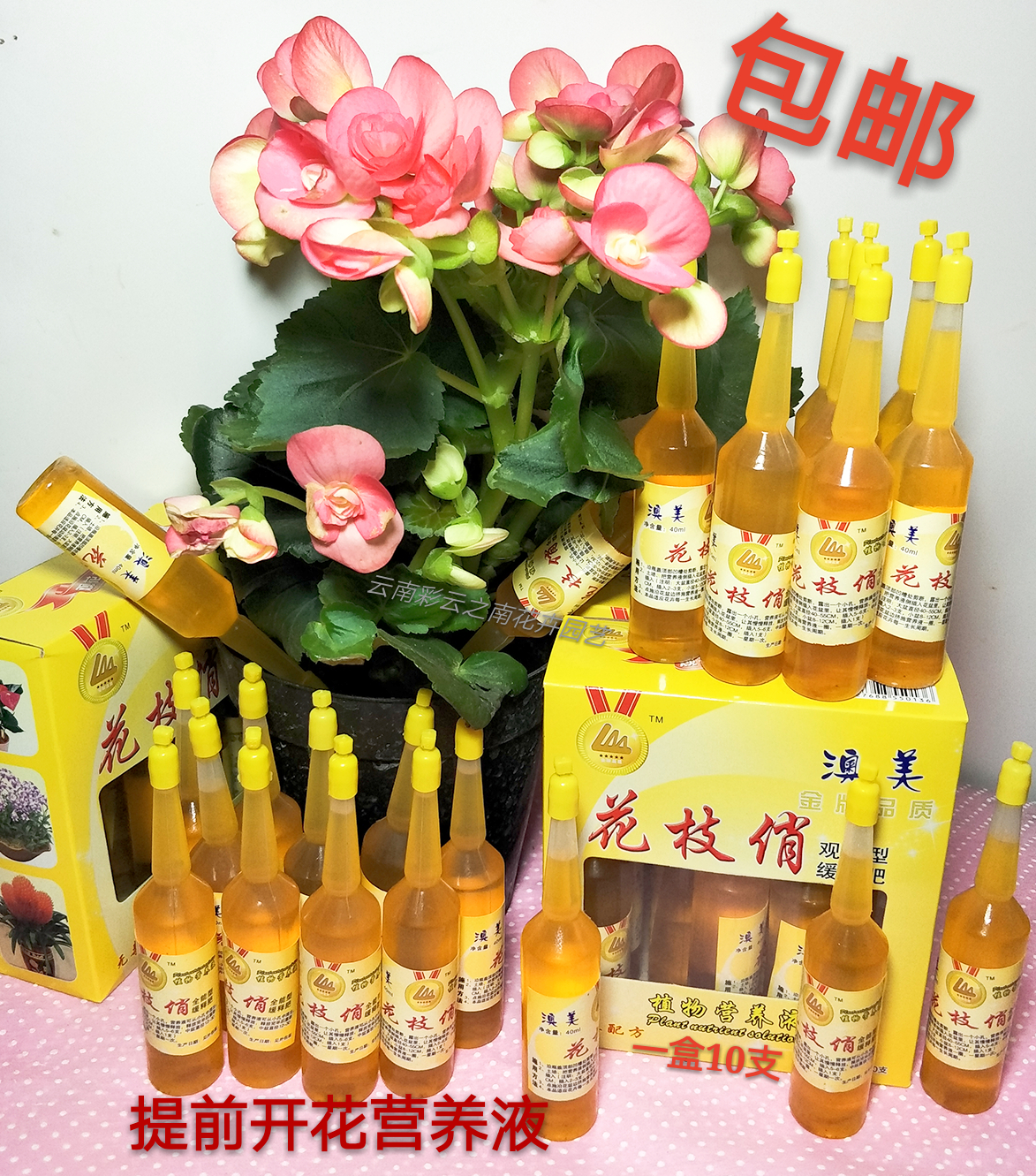 澳美花枝俏营养液免稀释