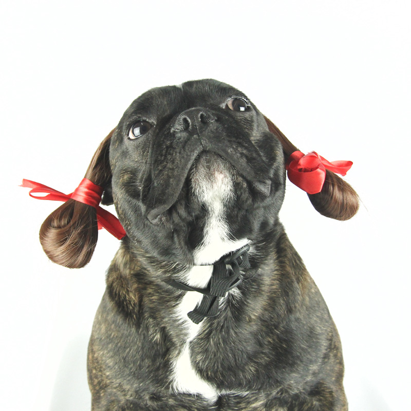 趣味村姑头套帽法斗变身宠物猫