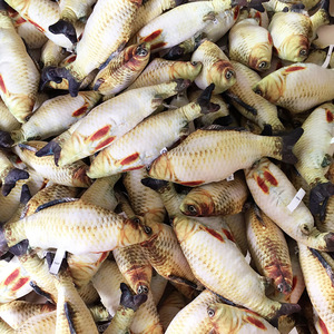 猫狗狗玩具鱼抱枕猫枕头泰迪法斗宠物仿真猫咪鱼搞笑玩具耐咬玩具