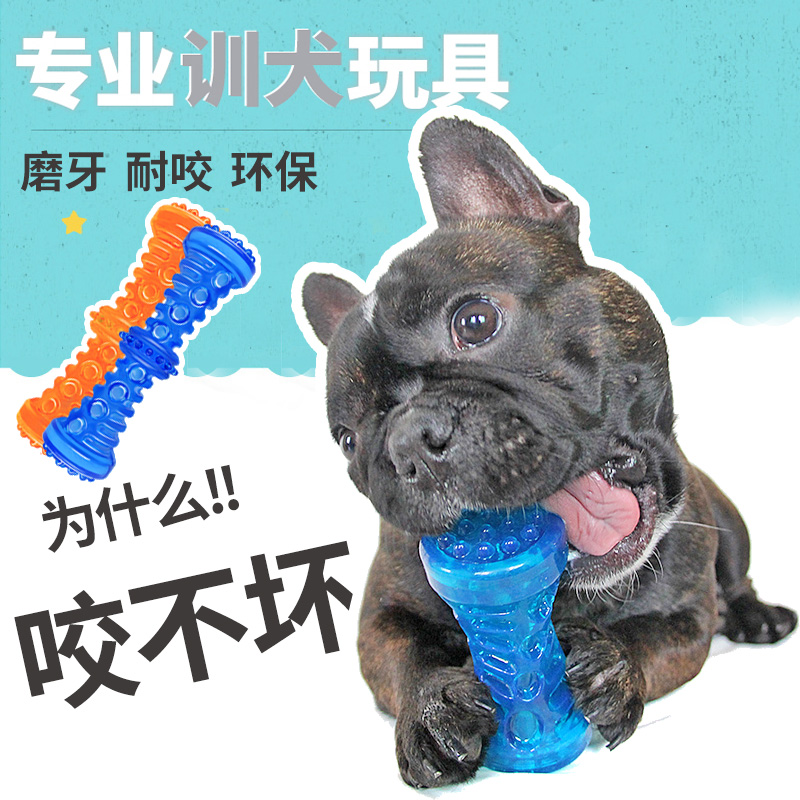 狗狗玩具发声泰迪金毛幼犬小型犬