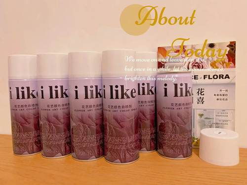 ilike玫瑰彩喷满天星鲜花