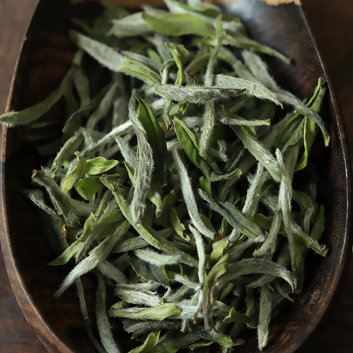 2025荒野白牡丹王福鼎白茶茶叶