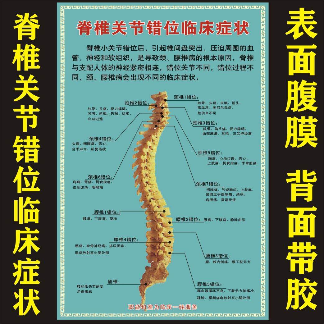 脊椎关节错位临床症状医学骨科挂图人体骨骼结构展板人体解剖海报