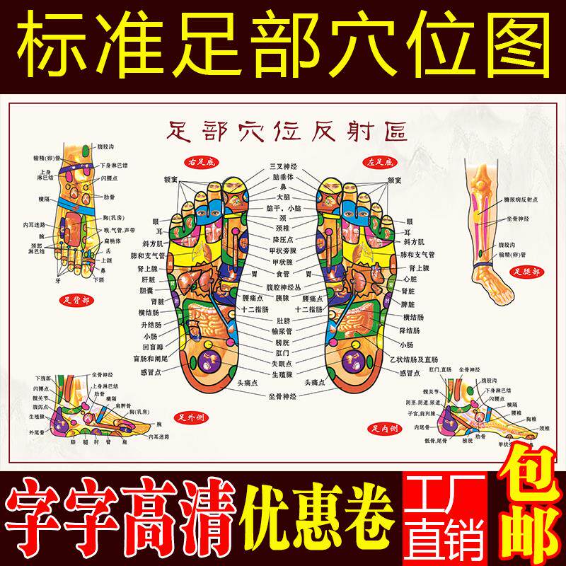 足底按摩穴位图足部反射区大挂图人体足部经络穴位图挂图宣传挂画