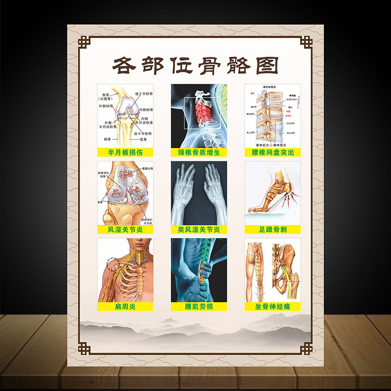 各部位骨骼图骨科挂图贴画医院诊所海报骨骼结构图人体解剖图