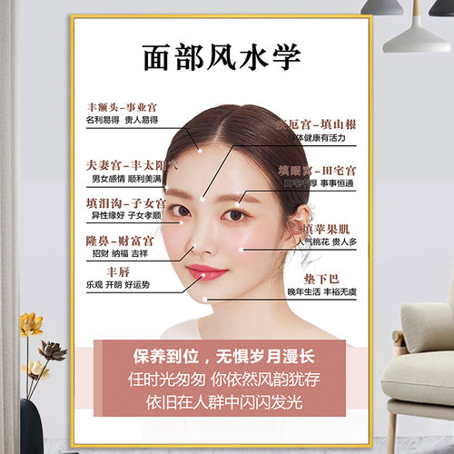 面部风水学海报微整形挂画墙贴宣传图片美容院装饰画医美广告背景