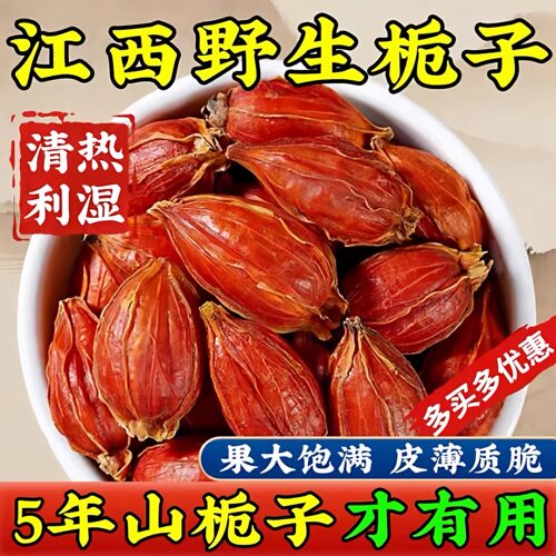 栀子中药材500g正宗野生黄栀子果栀子茶江西野生山栀子泡水喝