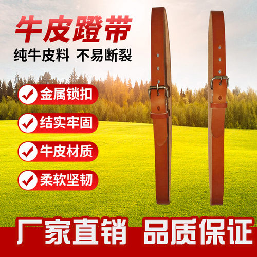 马镫带马术用品马蹬绳