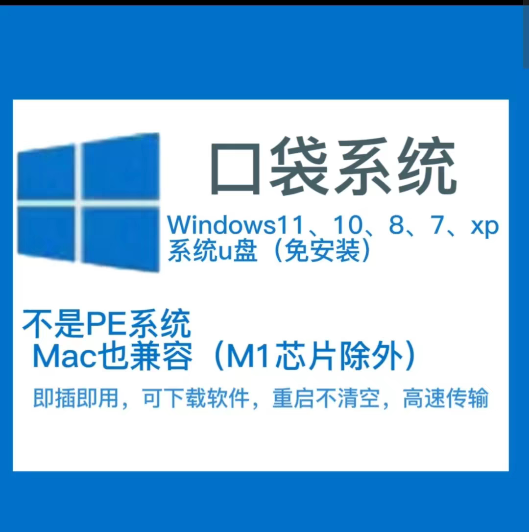 [口袋系统]独立系统USB3.2U盘 所有电脑可用(除部分苹果M芯片)