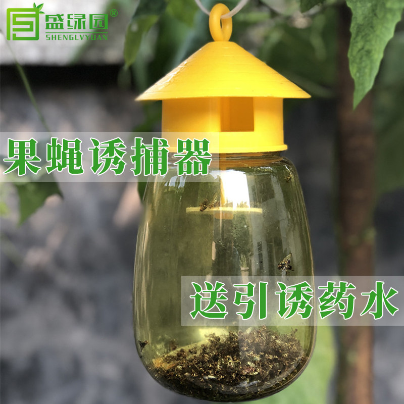 针锋果蝇诱捕器药水防虫园艺用品园林果树植物捉虫果蝇剂捕捉器在类目 鲜花速递/花卉仿真/绿植园艺, 园艺用品, 其它园艺用品中 - 来自Buy2taobao.com提供专业的淘宝代购服务