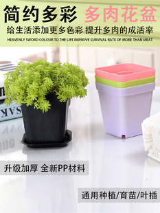 花盆塑料小花盆育苗盆小方盆多肉花盆种花盆创意迷你小花盆包邮