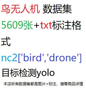 目标检测数据集yolo鸟和无人机数据集5609张yolo txt格式nc2