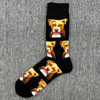 happysocks Men's Happy Dopamine mid-calf socks Colorful plus-size socks Year of the Horse Cartoon Street Fashion socks thumbnail 5