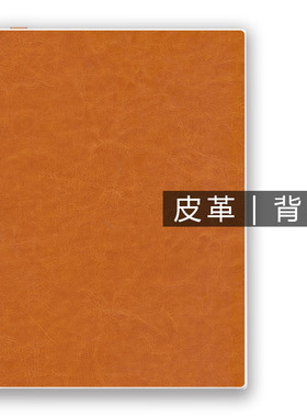 W7墨案 inkPad X迷你阅inkPalm5背贴膜 (非贴纸钢化膜保护套壳)