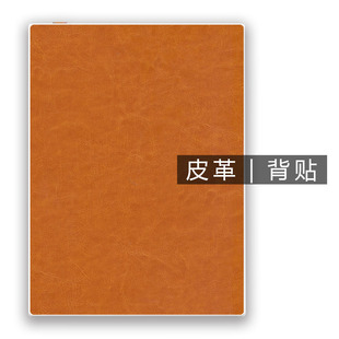 非贴纸钢化膜保护套壳 X迷你阅inkPalm5背贴膜 inkPad W7墨案