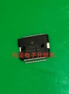 L05173    全新原装进口汽车芯片   现货