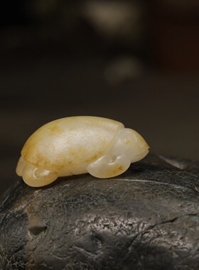 新疆和田玉龟苏工籽料白玉乌龟