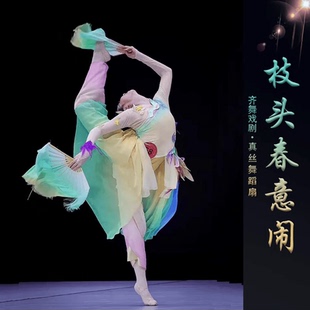 桃李杯淡妆浓抹总相宜舞蹈成人儿童团扇演出服中国风古典舞表演服