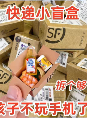 迷你包裹自制快递玩具盒盲学生超市仿真食玩娃娃场景模型微缩惊喜