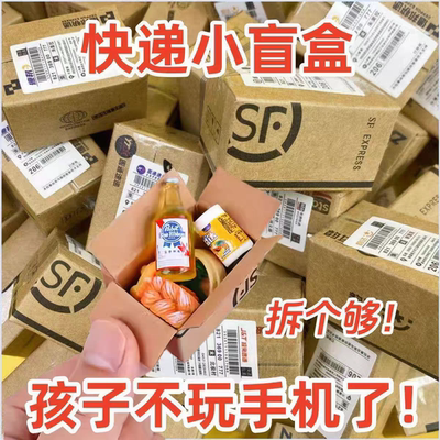 迷你包裹自制快递玩具盒盲学生超市仿真食玩娃娃场景模型微缩惊喜