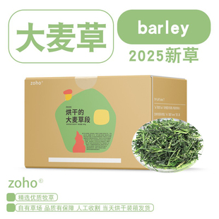 zoho豚鼠大麦草荷兰猪龙猫兔子饲料干草粮草料烘干食用草大麦草段