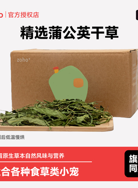 zoho新烘干蒲公英兔子草龙猫荷兰猪兔兔蒲公英叶吃的干草零食牧草