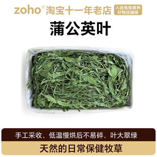 蒲公英叶兔子龙猫豚鼠干草零食