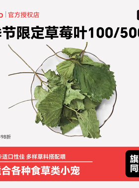 zoho季节限定烘干兔子草莓叶子草莓秧子了龙猫荷兰猪零食草辅草