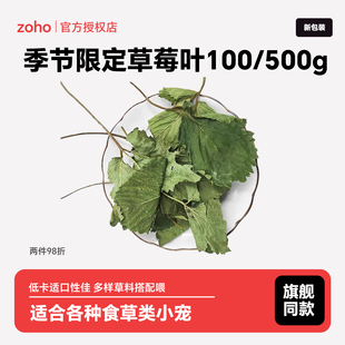 zoho季节限定烘干兔子草莓叶子草莓秧子了龙猫荷兰猪零食草辅草