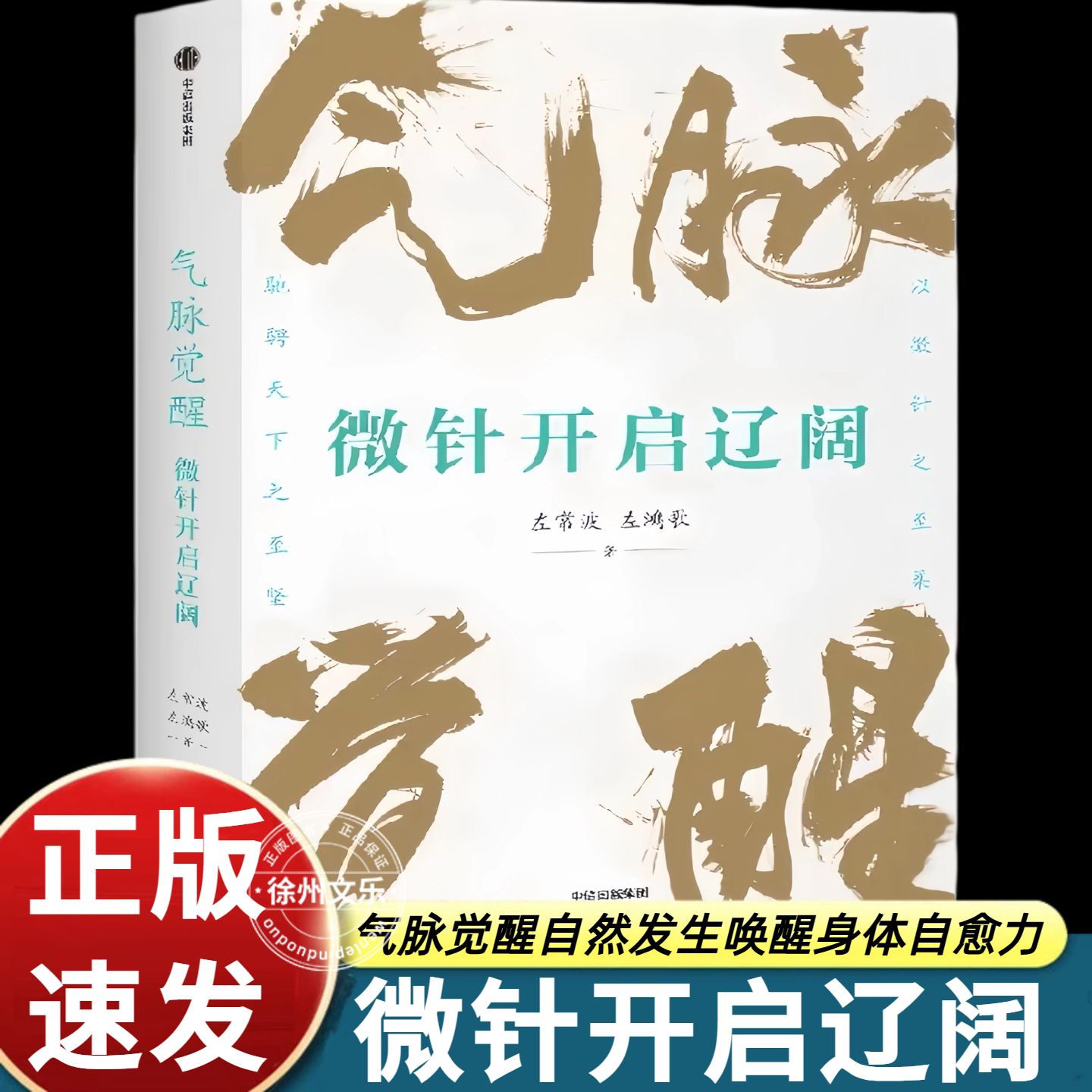 气脉觉醒微针开启辽阔左常波左鸿歌著中医理疗健康读物唤醒身体自愈力传统技法身心调养科普读本中医文化研习正版图书