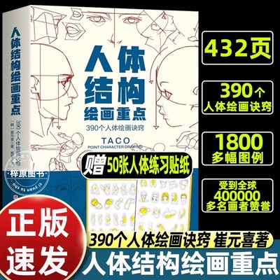 【正版】人体结构绘画重点 人体结构 人体绘画 崔元喜 TACO人体 解剖 人体结构绘画教程 绘画技巧 绘画教程 北京科学技术