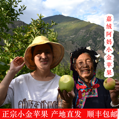 小金苹果酸甜脆阿坝州孕妇水果