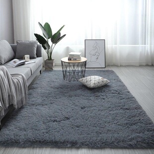 fluffy carpet rugs for bedroom/living room rectangle Large