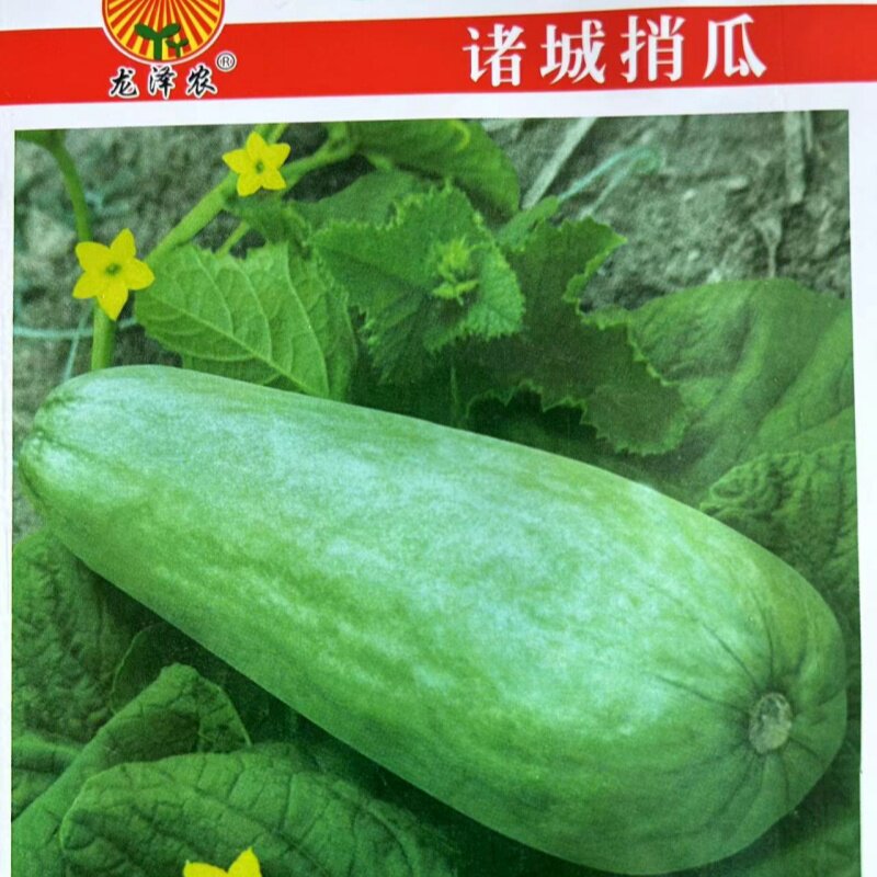 八棱脆瓜种子早熟香酥菜瓜一窝猴蔬菜种子籽孑烧瓜生吃黄河脆