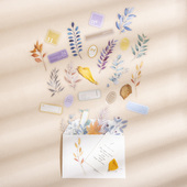 落叶藏书树叶迷你标签贴纸PET防水自粘拼贴手账贴纸ins风装 饰贴画