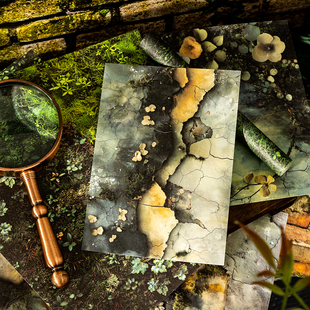 大自然触感特种纸素材纸大尺寸打底拼贴手账装饰复古文艺场景diy