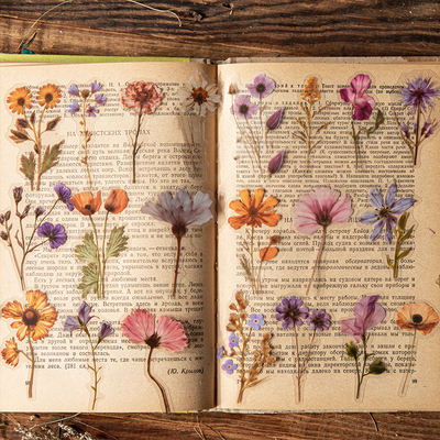 林间低语干花PET模切贴纸防水