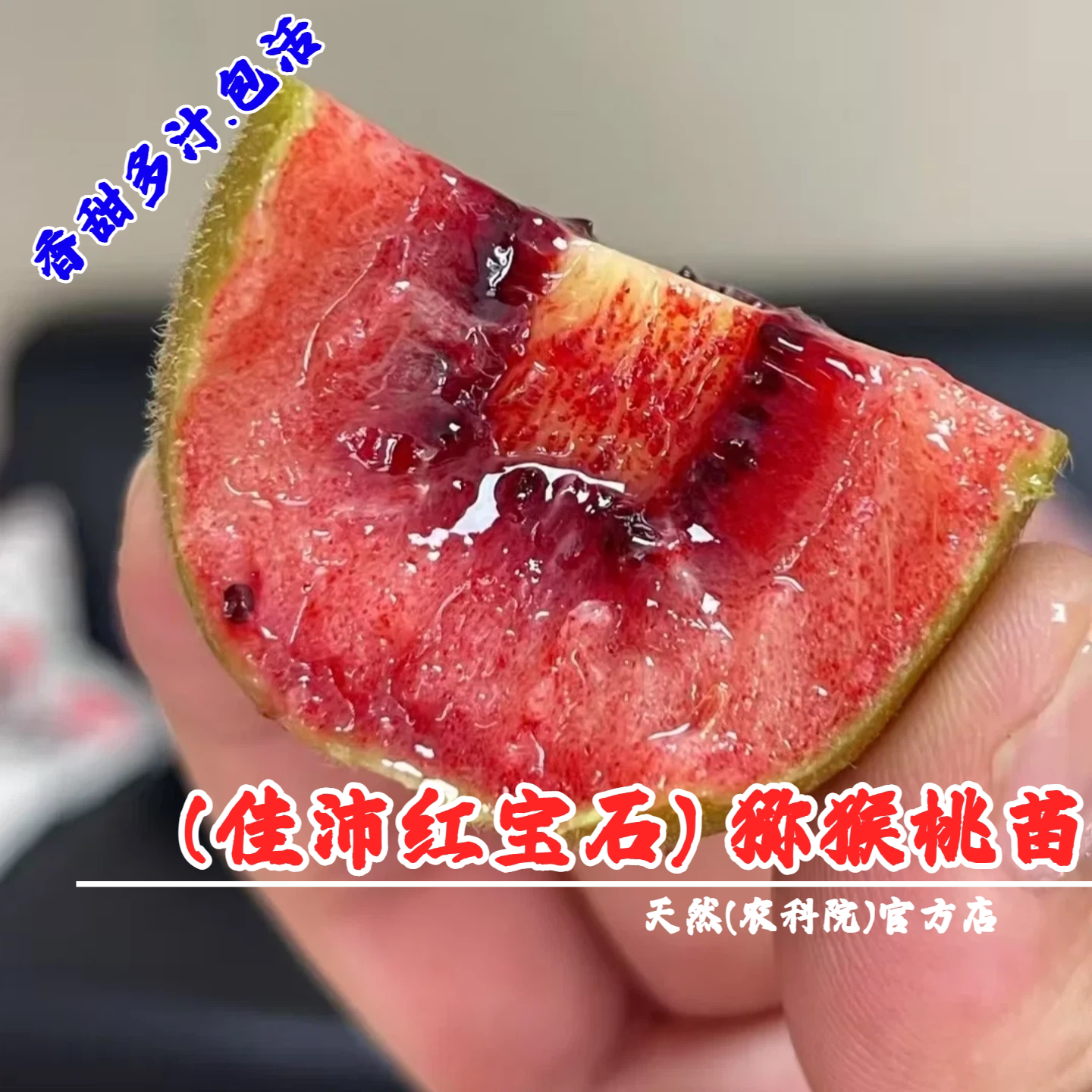 新西兰佳沛红宝石猕猴桃树果苗爬藤奇异果红心猕猴桃苗南北方种植图片
