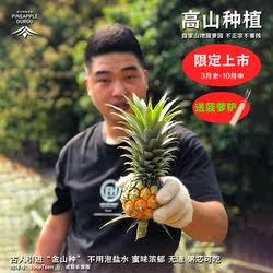 【自家果园】广东神湾菠萝新鲜水果10斤装当季胜过凤梨中山小菠萝