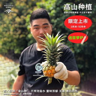 广东神湾菠萝新鲜水果10斤装 当季 自家果园 胜过凤梨中山小菠萝