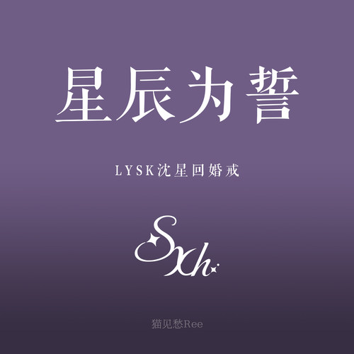 星辰为誓 925银莫桑钻戒指 婚戒 闭口