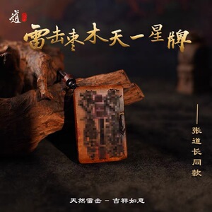 龙虎山法物流通张会长同款雷击枣木天一星牌吊坠五雷五路财无事牌