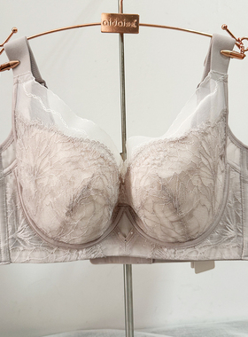 奥尔黛丝内衣显小水晶杯聚拢收副乳调整型2857舒适透气桑蚕丝文胸