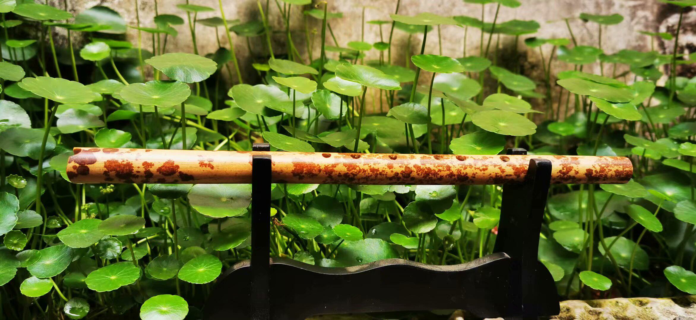 【安歌箫】湘妃竹短箫口袋箫袖珍箫小G调6孔箫文玩把玩竹箫