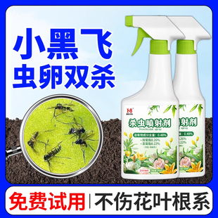 家用花盆防花土生花园花草花土壤杀虫剂花卉植物里面有小飞虫黑虫