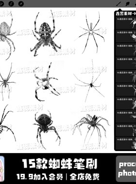 procreate笔刷ps笔刷蜘蛛动物昆虫虫类装饰点缀辅助绘画笔刷