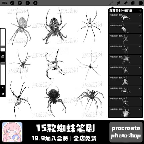 procreate笔刷ps笔刷蜘蛛动物昆虫虫类装饰点缀辅助绘画笔刷