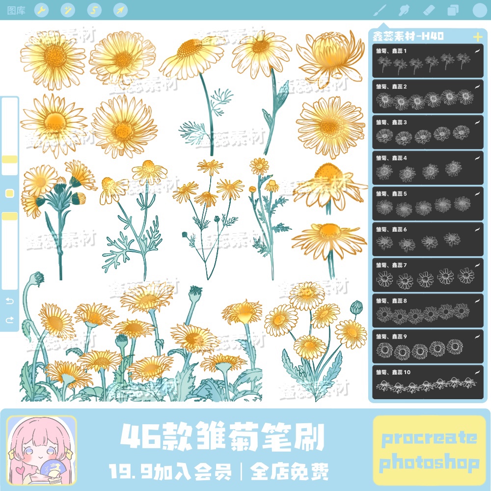 雏菊花笔刷procreate笔刷ps笔刷雏菊花朵花卉花丛素描线稿笔刷