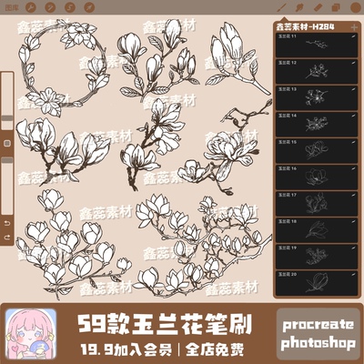 玉兰花笔刷procreate笔刷ps笔刷玉兰花花朵鲜花辅助线线稿笔刷